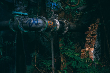 Abandoned Building Overgrown Pipe