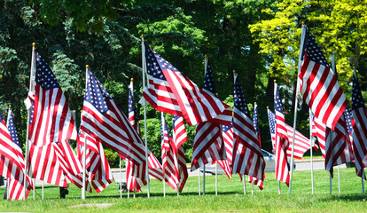 USA flags on the meadow