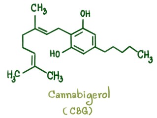 Cannabigerol (CBG) is one of more than 120 identified cannabinoid compounds found in the plant genus Cannabis. Cannabigerol is the non-acidic form of cannabigerolic acid.
