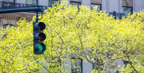 Green traffic lights for cars, trees and buildings background
