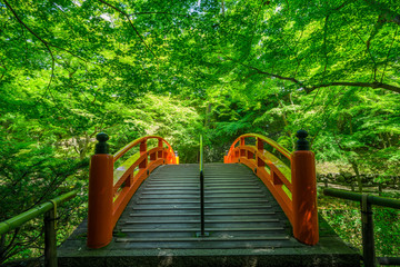 Fototapeta premium Świątynia Kyoto Kitano Tenmangu Ujibashi świeża zieleń ogrodu klonowego