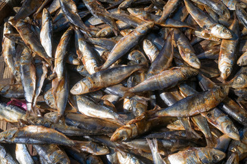 Drying fishes on the street