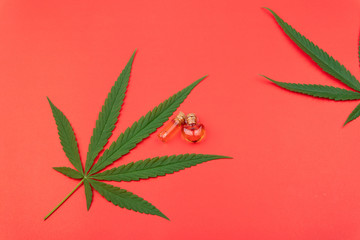 Cannabis, cannabis oil extracts in jars