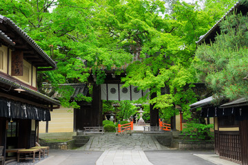 京都　今宮神社の東門　新緑
