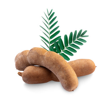Tamarind isolated on the white background