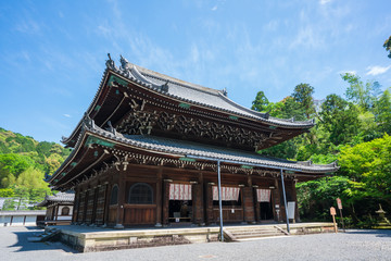 京都　泉涌寺の仏殿　新緑