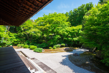 京都　泉涌寺の御座所庭園　新緑