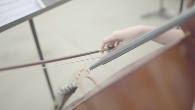 Mulher Tocando Cello