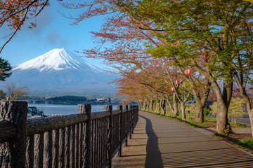 Pathway to mount Fuji along Kawaguchiko : Text translation 