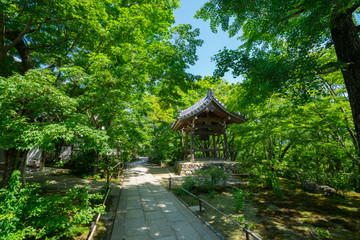 京都　常寂光寺の新緑