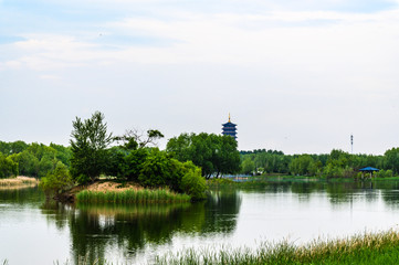 Fototapeta na wymiar Changchun Beihu National Wetland Park
