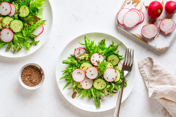 Vegetable salad of fresh radish, cucumber, lettuce and flax seed