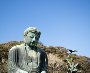 高徳院の鎌倉大仏