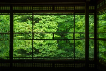 Fotobehang 京都　瑠璃光院の青もみじ © Route16