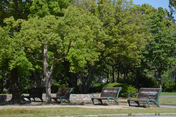 木陰のベンチと日向のベンチ
