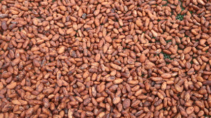 Cacao fino de Aroma de la Amazonía del Ecuador, Chocolate orgánico