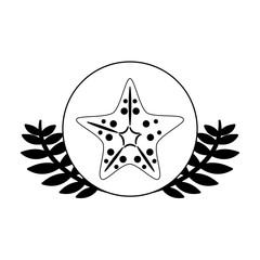 cute starfish in frame circular with leafs