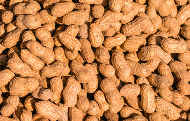 Ripe Peanuts with Peel