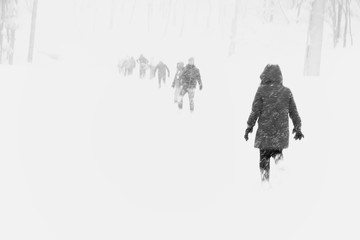 tourist walking in the heavy snowfall,Japan