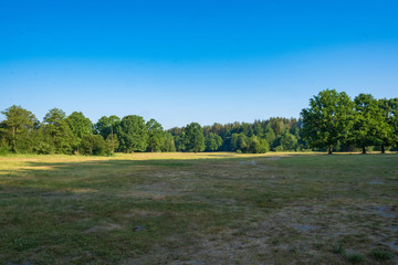 Obraz premium Photography in the evening hour of nature in the summer on a sunny day. Beautiful dawn time.