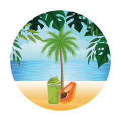 summer beach and vacation cartoon