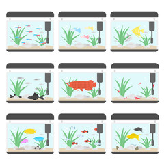 熱帯魚水槽のイラストセット