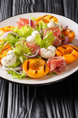 Delicate salad with mozzarella, prosciutter, grilled apricot grill and fresh lettuce close-up on a plate. vertical