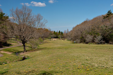 View of Miki forest park in Hyogo, Japan