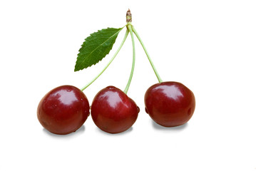 cherries isolated on white background