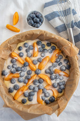 home made blueberry vanilla cake with apricots