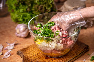Female hand stirring minced meat ingredients.