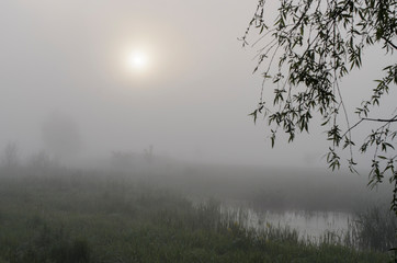 Picturesque fairy sunrise over a misty meadow in summer morning