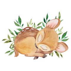 Cute sleeping deer, watercolor illustration with cute forest animaks and floral element isolated on white background