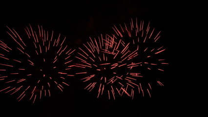festive fireworks in the night sky