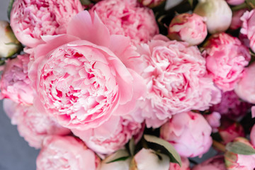 Floral carpet or Wallpaper. Background of pink peonies. Morning light in the room. Beautiful peony flower for catalog or online store. Floral shop and delivery concept .
