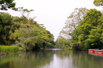 柳川川下り