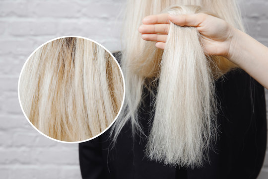 Texture of damaged female hair close-up on gray background. concept loss color and protein