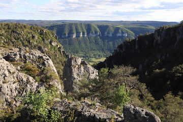 Fototapeta na wymiar paysage des gorges du Tarn
