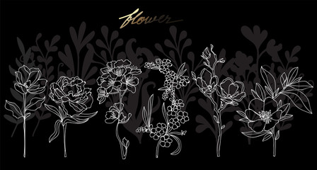 Art flower hand drawing and sketch black and white with line art illustration isolated on black background.