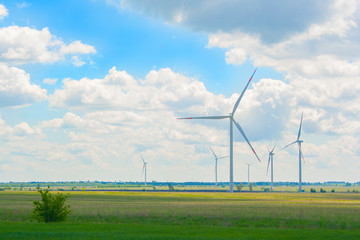 Many big and high windmills at sunny day on the green field. Alternative energy wind generators. Wind energy. Ecology, save, energy innovation