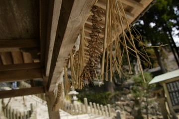 古い日本の神社