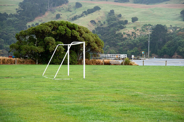 White soccer goal and green grass field with big tree and mountain background.