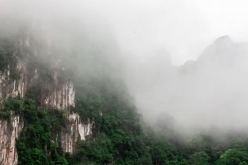 Nature forest and mountain landscape with fog in the morning 