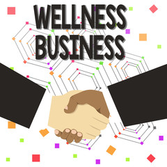 Text sign showing Wellness Business. Business photo text Professional venture focusing the health of mind and body Hand Shake Multiracial Male Business Partners Colleagues Formal Black Suits