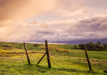 Old broken barbed wire ranch fence passing through a beautiful green field under storm clouds at sunset in Butte County, California.