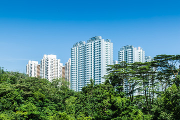 Singapore HDB residential building in green forest skyline