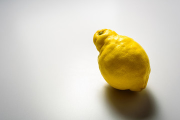 Ugly lemon fruit