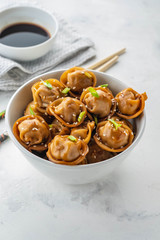 Fried dumplings with soy sauce with pepper and green onions. Asian cuisine. Copy space.