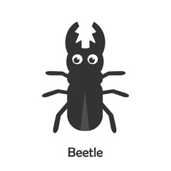 Beetle in cartoon style, insect card for kid, preschool activity for children, vector illustration