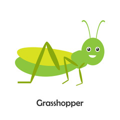Grasshopper in cartoon style, insect card for kid, preschool activity for children, vector illustration